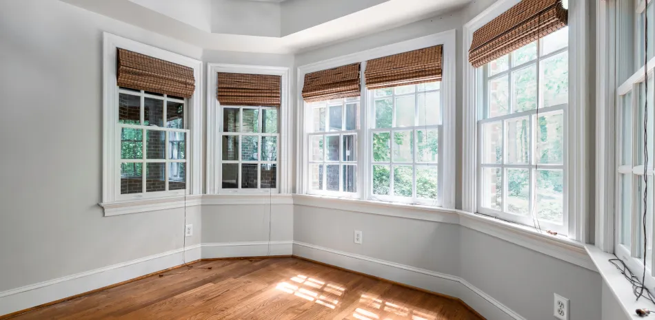 Windows & Doors